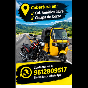 Mecánico de confianza